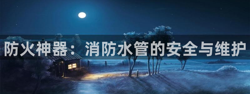 威九国际H