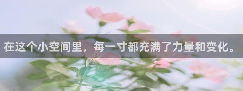威九国际视频传媒招聘