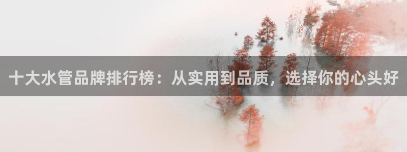 威九国际空降服务女演员名字