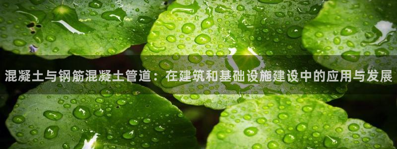威九国际网站入口官网首页