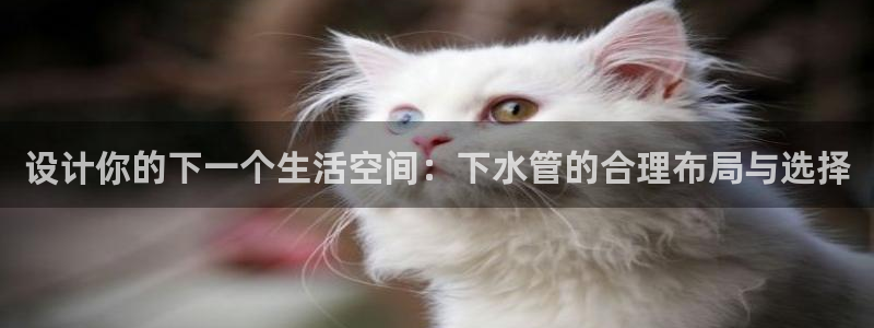 威九国际66m入口