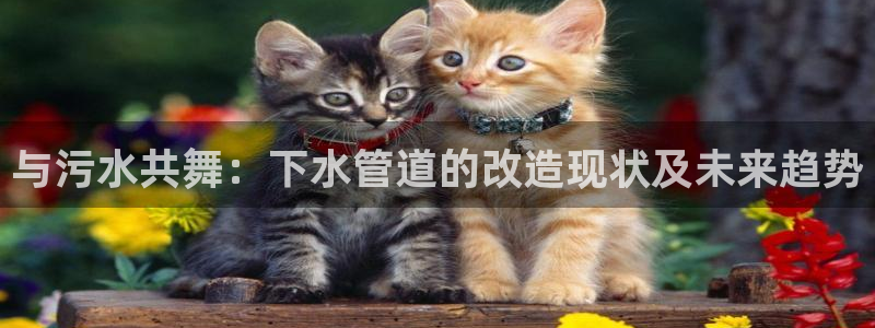 威九国际mm