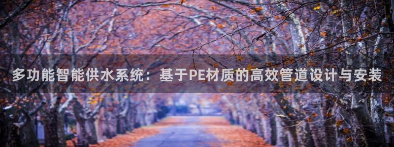 威九国际APP大全
