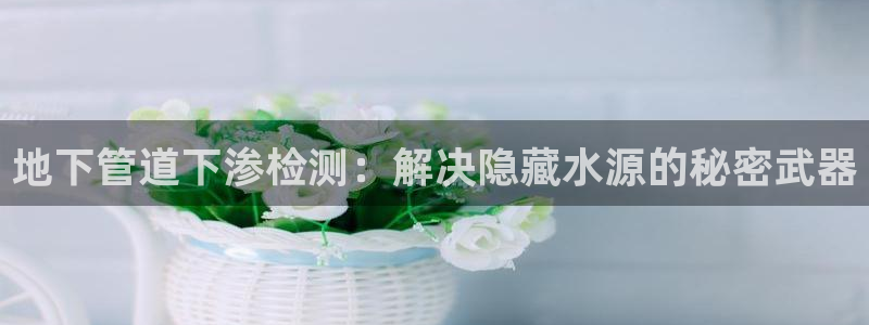 威九国际v9