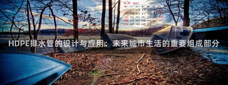 威九国际网站入口地址在哪里