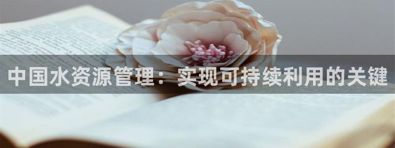 威九国际清砖码头在哪