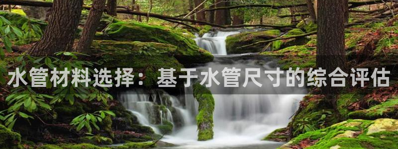 威九国际免费