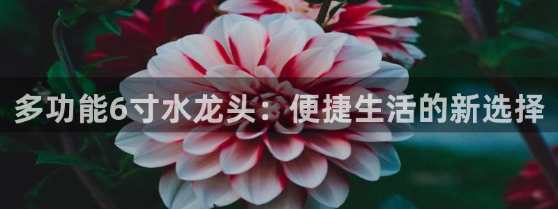 威九国际78mann
