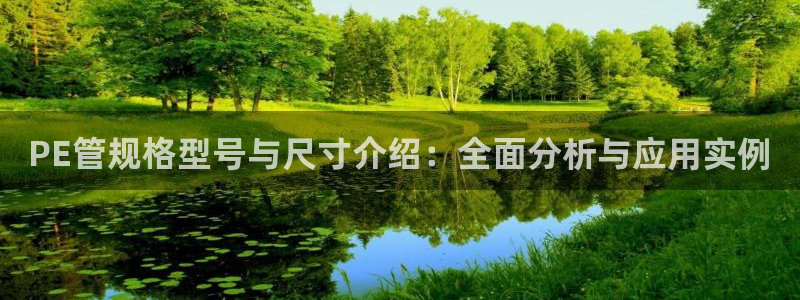 威九国际清砖码头怎么样