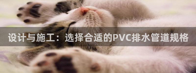 威九国际官方入口