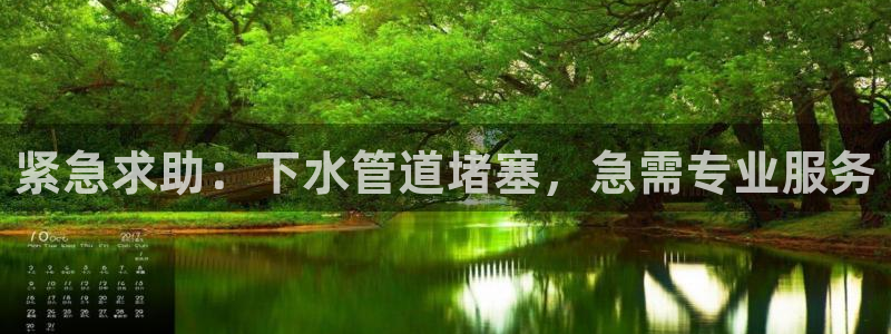 威九国际电视怎么样