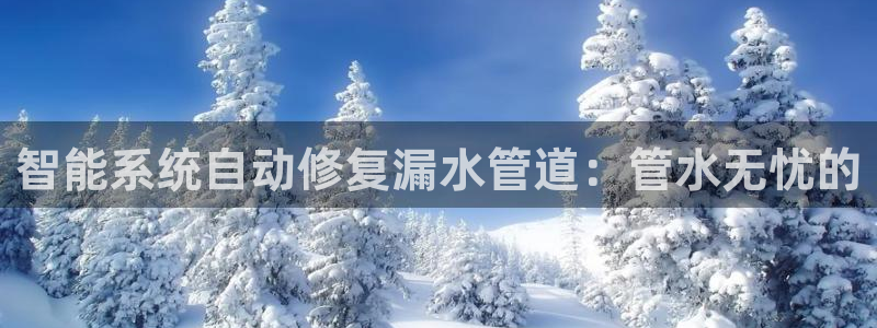 威九国际官方入口