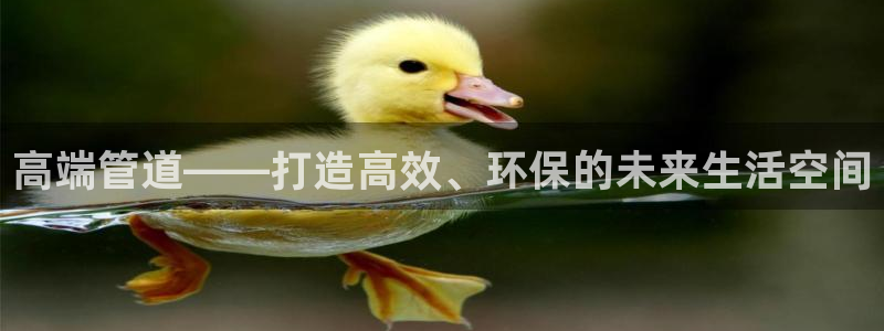 威九国际app客服电话