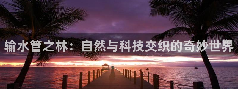 威九国际新