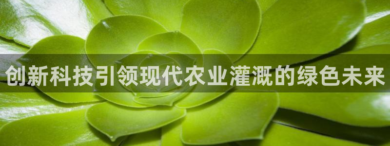 威九国际网站在哪里