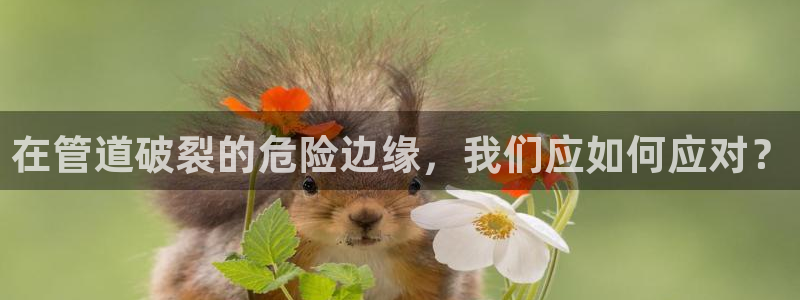 威九国际AN
