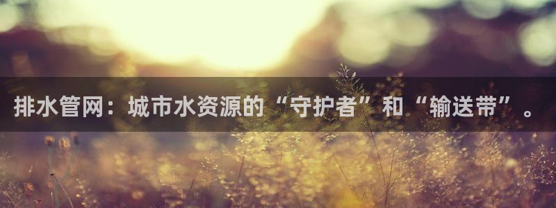 威九国际FF
