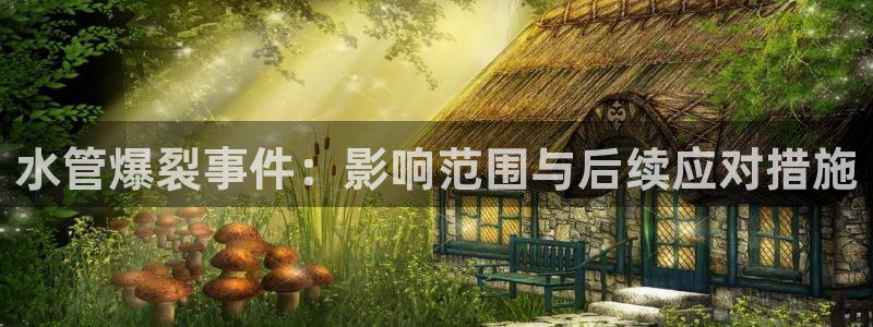 威九国际