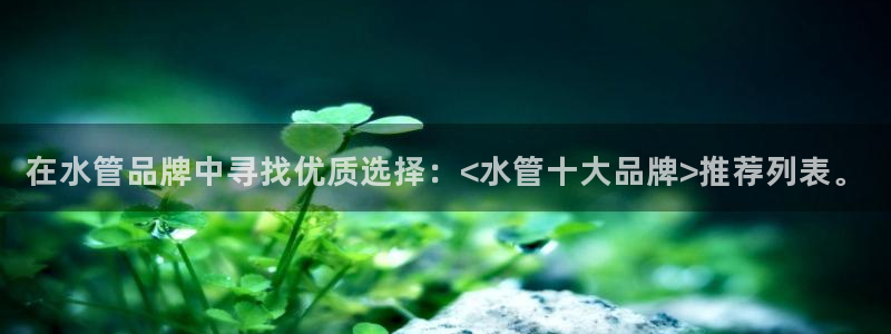 威九国际app入口官网