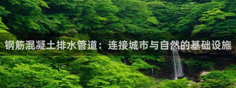 威九国际78m78下载