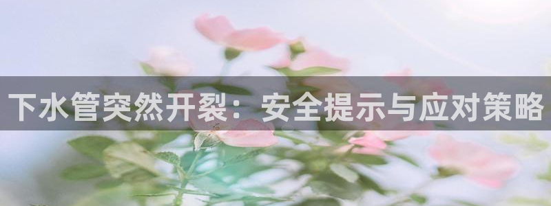 威九国际客服电话号码查询