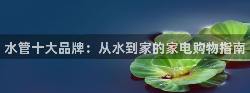 威九国际演员表