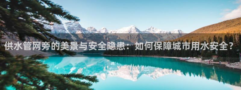 威九国际客服电话是多少