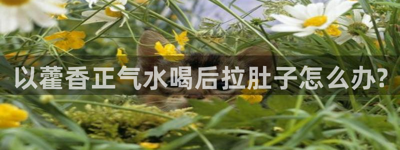 78mapp威九国际媒体
