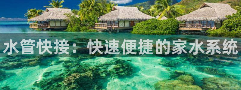 威九国际v96bet官网版