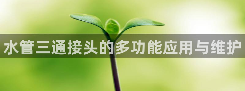 威九国际78mb下载