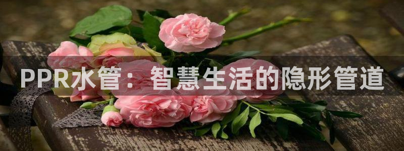 威九国际取款不到账
