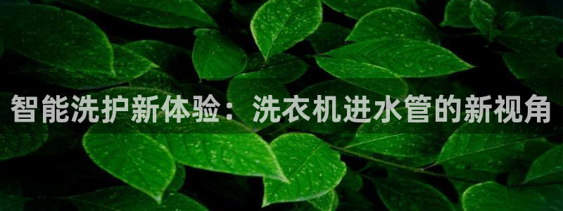 威九国际免费网络站