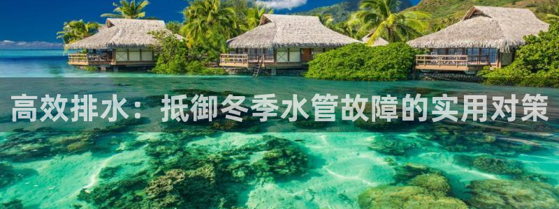 威九国际游戏入口