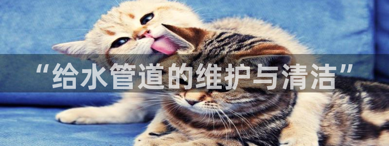 78mapp威九国际成长视频