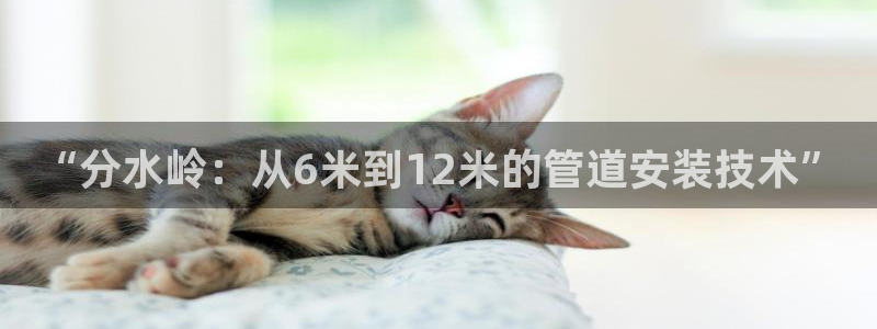 威九国际78m