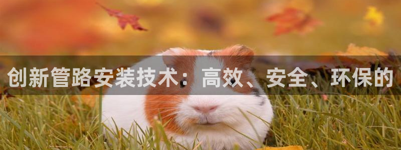威九国际网站进入公司不断创新