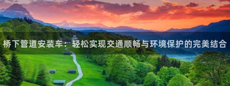 威九国际PPT