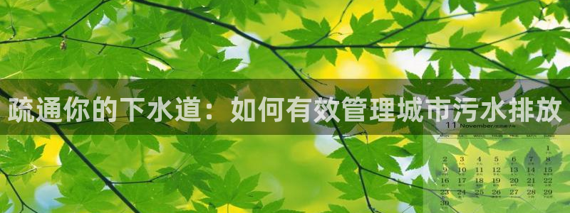 78mapp威九国际媒体