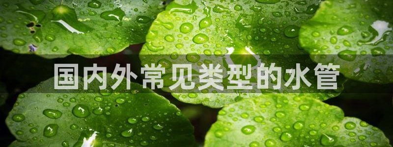 威九国际网站进入客服中心怎么退出
