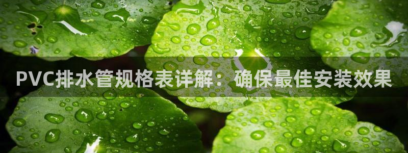 66m威九国际精选