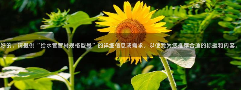 威九国际的金融服务怎么样