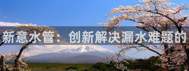 威九国际APP客服
